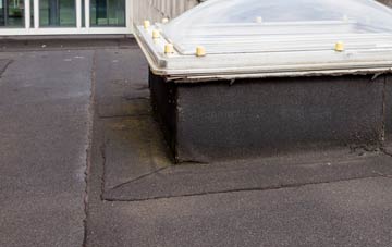 disadvantages of Elemore Vale flat roofs