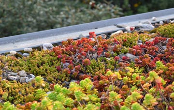 the cost of Elemore Vale green roof installation
