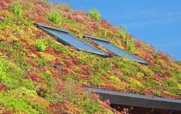 Elemore Vale living roof systems