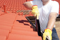Elemore Vale roof cleaners